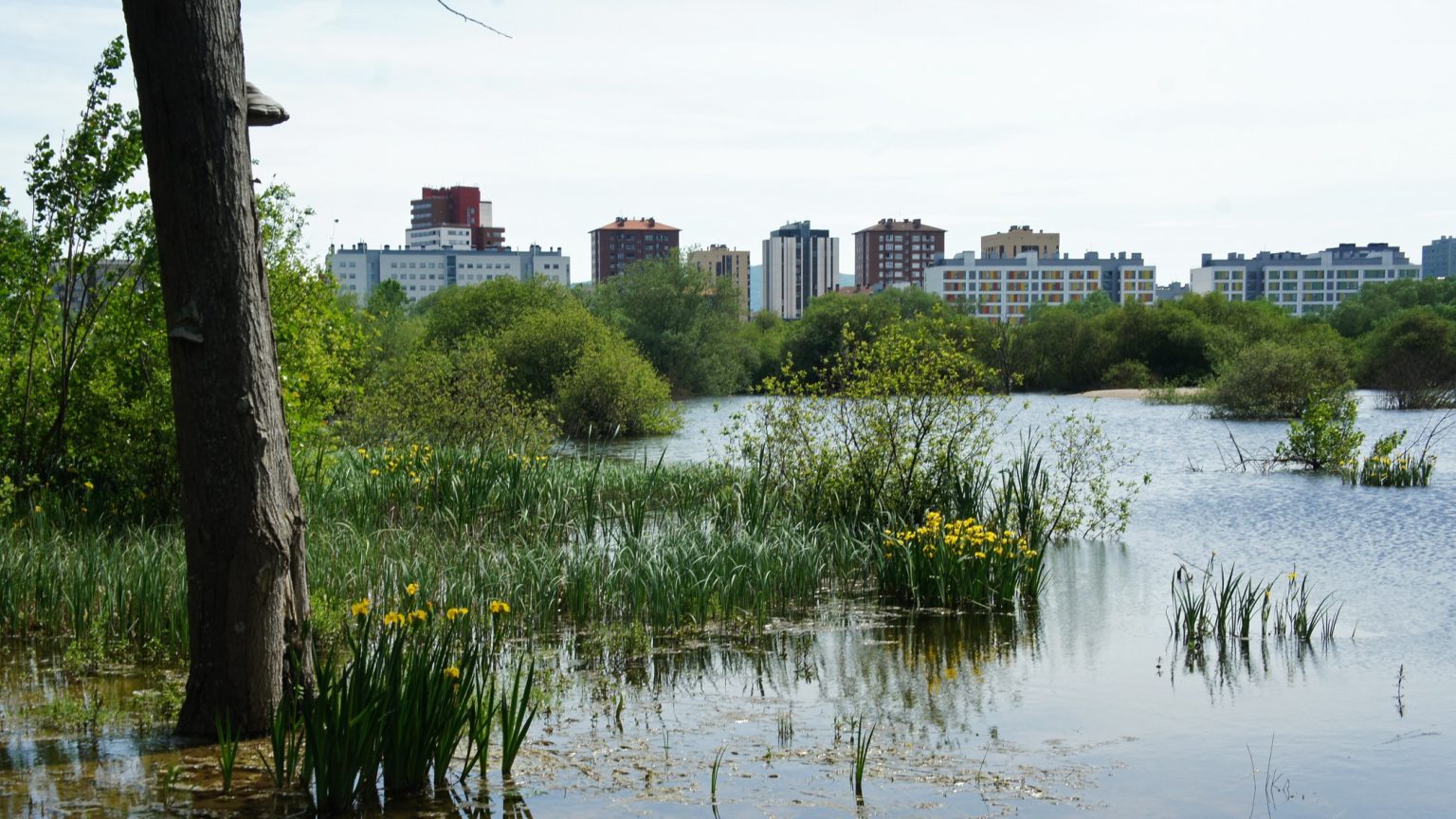 Anillo Verde Vitoria-Gasteiz