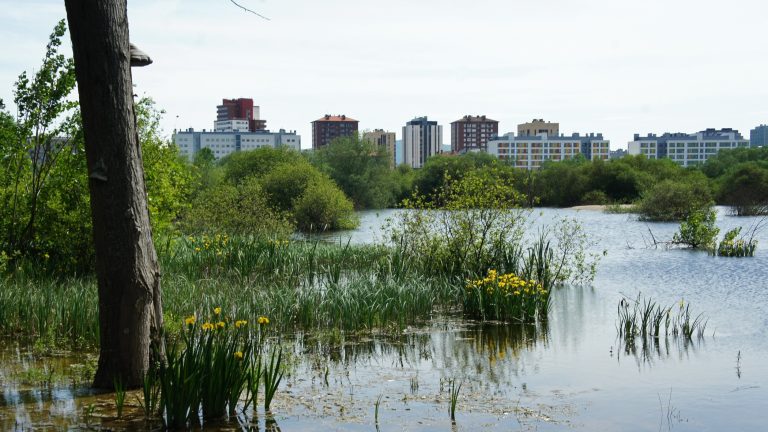 Anillo Verde Vitoria-Gasteiz